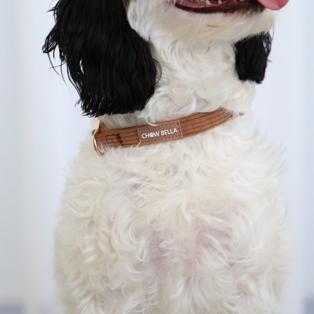 Corduroy Dog Collar Brown Tan