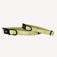 Corduroy Dog Collar Green Sage