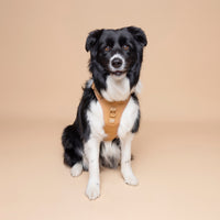 No Pull Dog Adjustable Harness Tan Brown