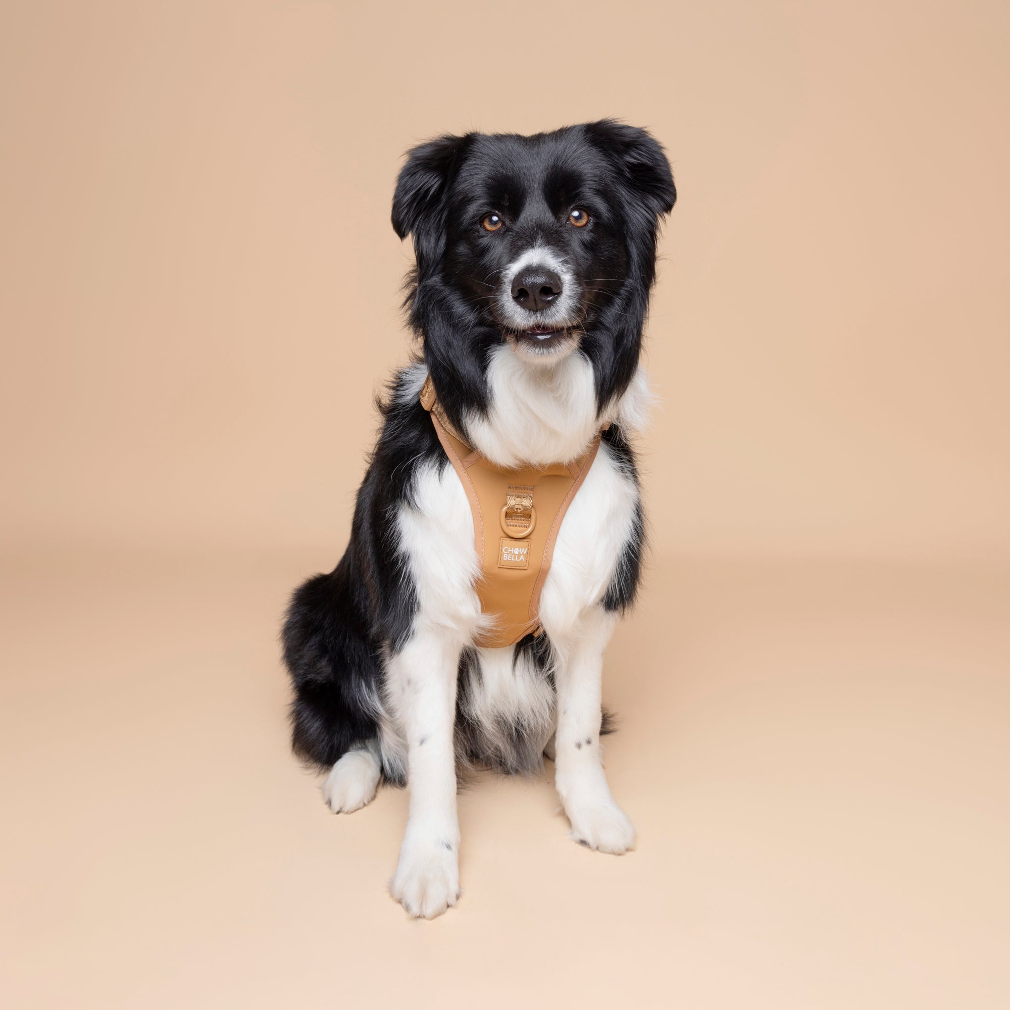 No Pull Dog Adjustable Harness Tan Brown