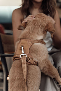 No Pull Dog Adjustable Harness Tan Brown