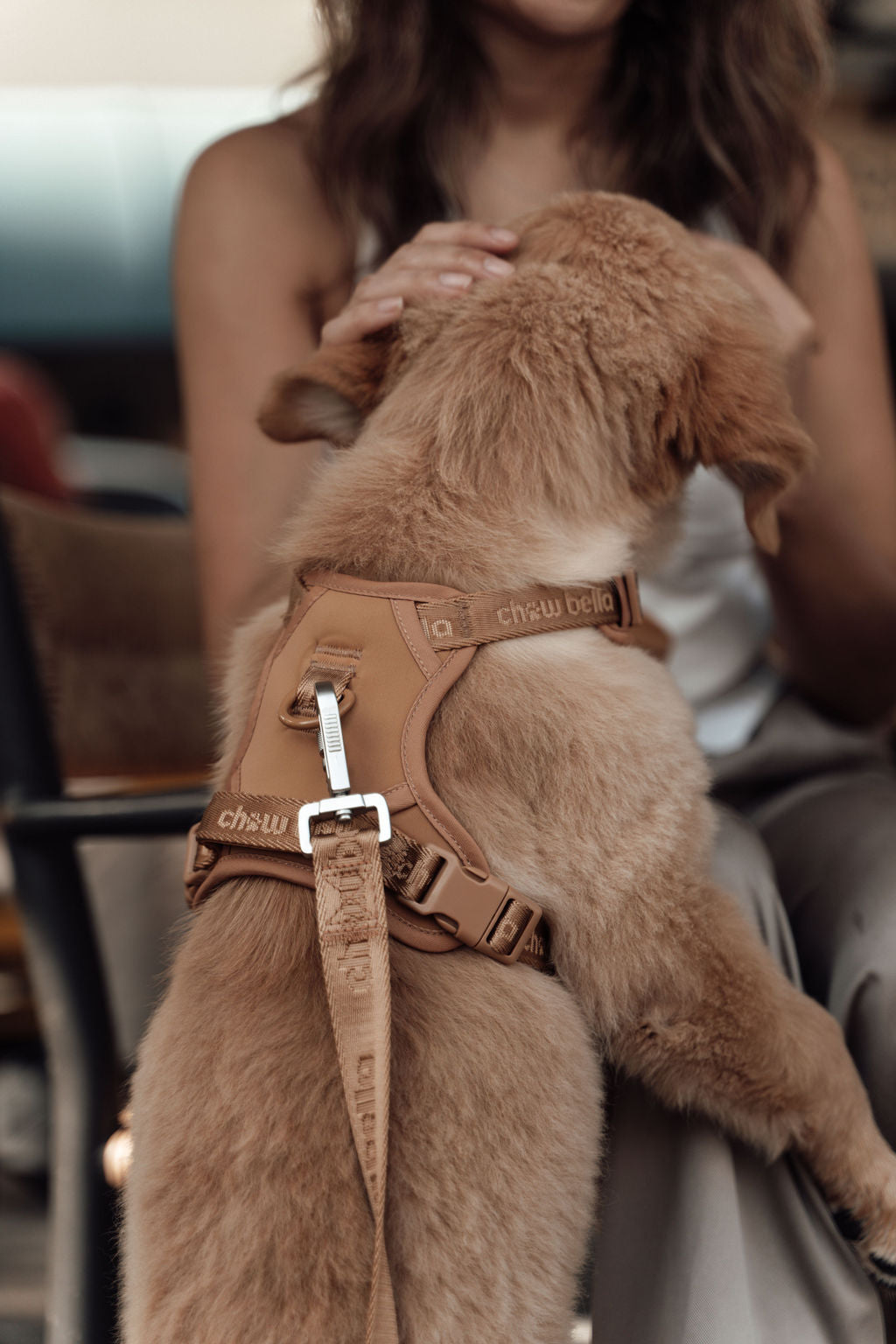 No Pull Dog Adjustable Harness Tan Brown