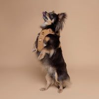 No Pull Dog Adjustable Harness Tan Brown