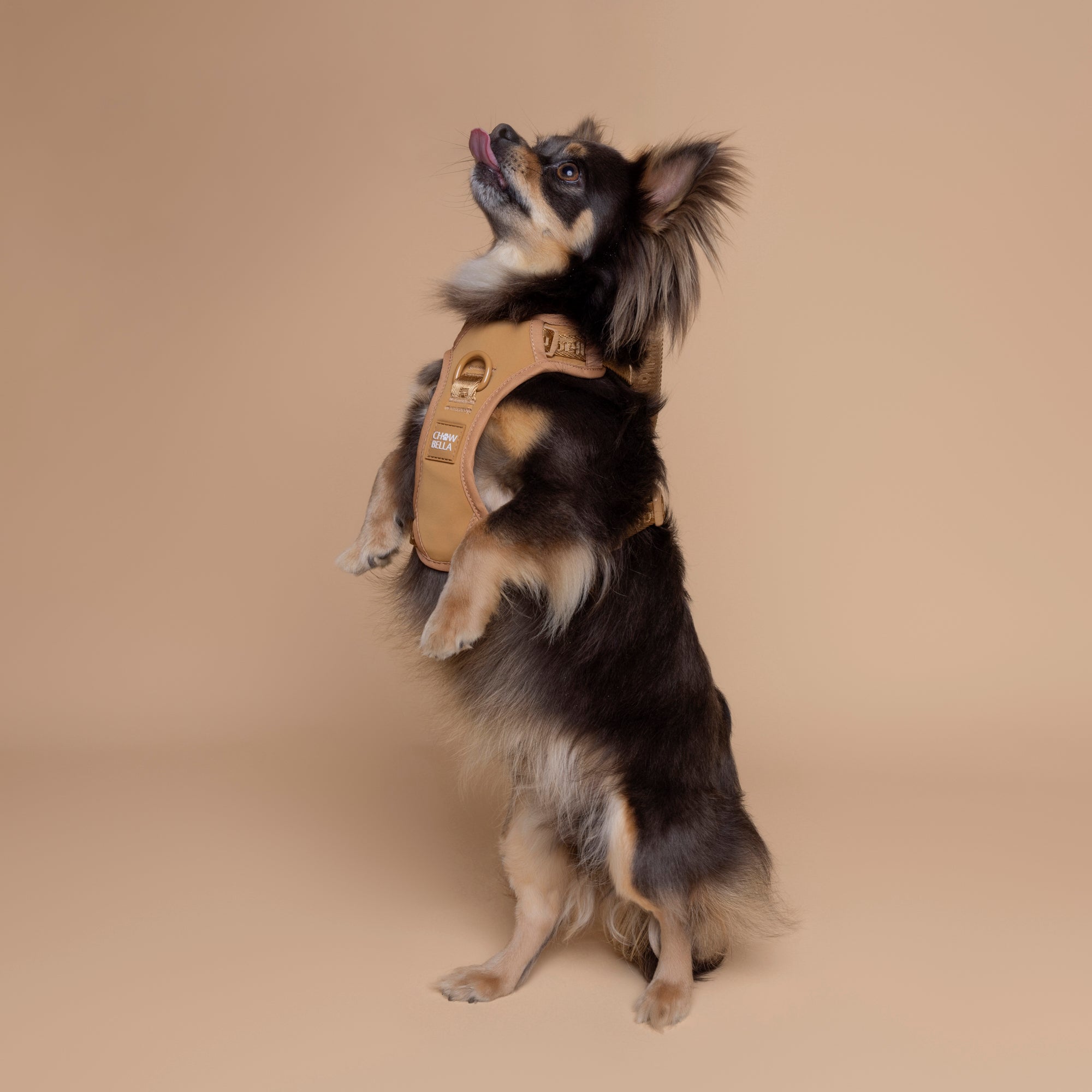 No Pull Dog Adjustable Harness Tan Brown