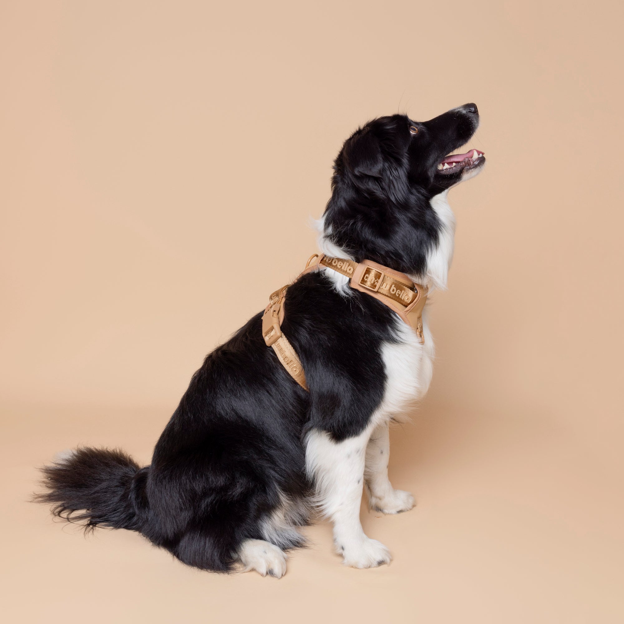 No Pull Dog Adjustable Harness Tan Brown