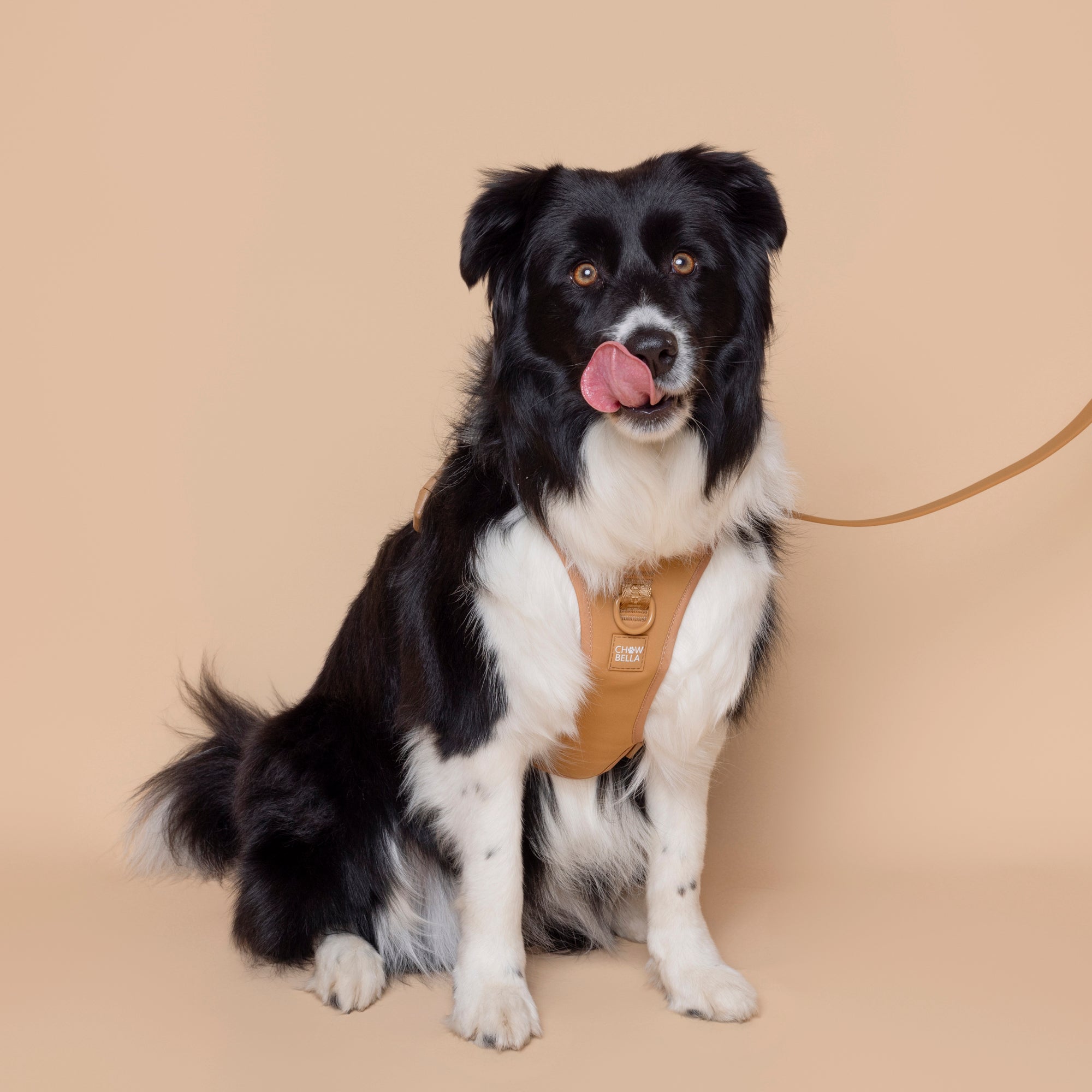 No Pull Dog Adjustable Harness Tan Brown