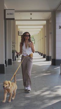 Dog Treat Pouch Tan Brown Waist Leash