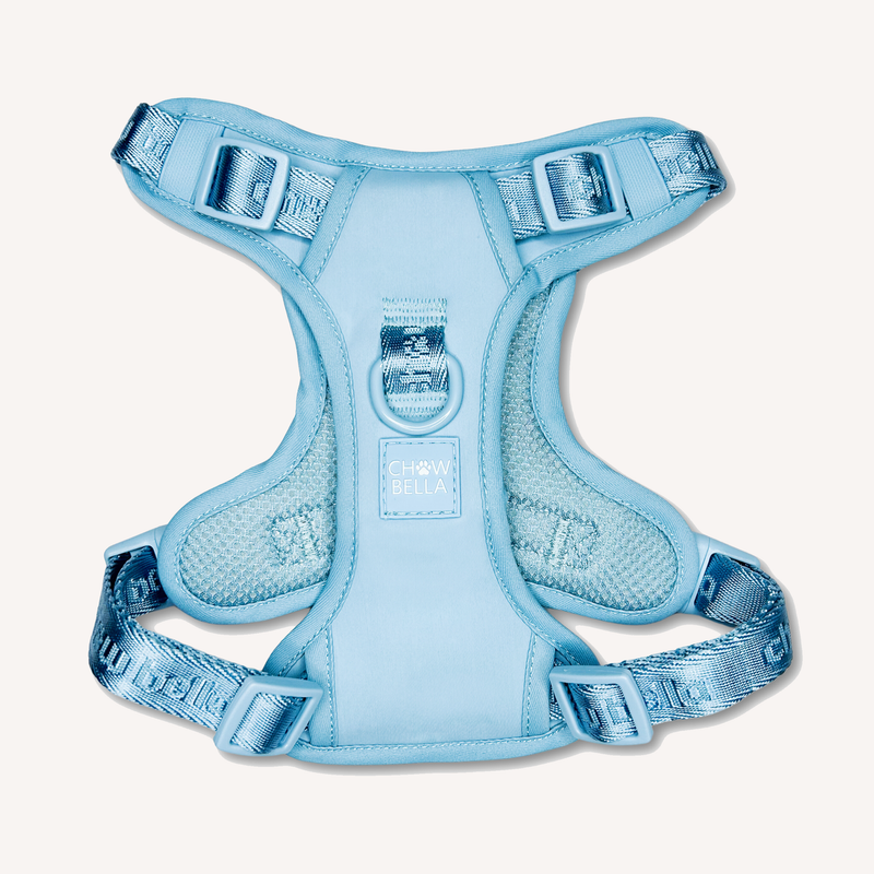 MoveLite Harness - Blue