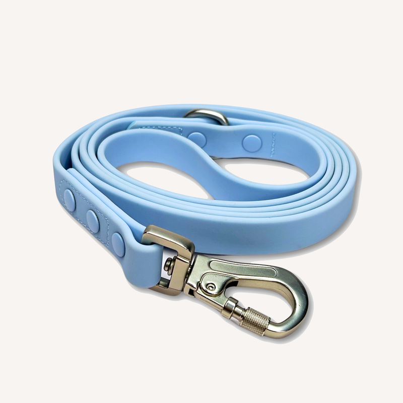 Flexi Waterproof Leash