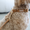 Corduroy Dog Collar Brown Tan