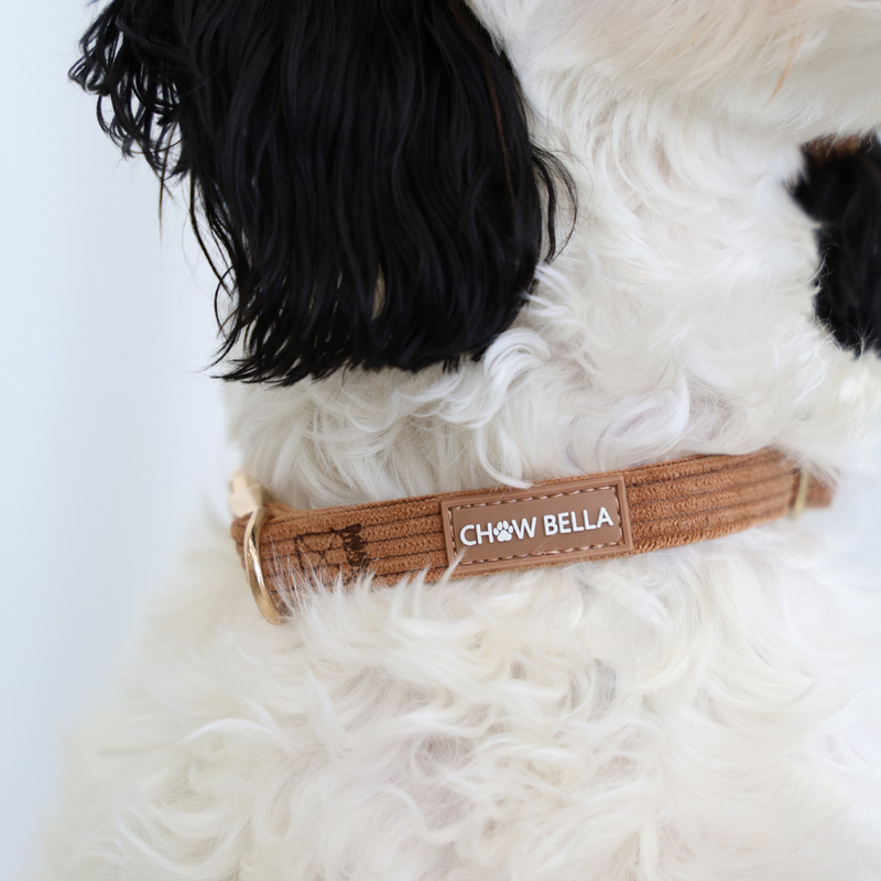 Corduroy Dog Collar Brown Tan