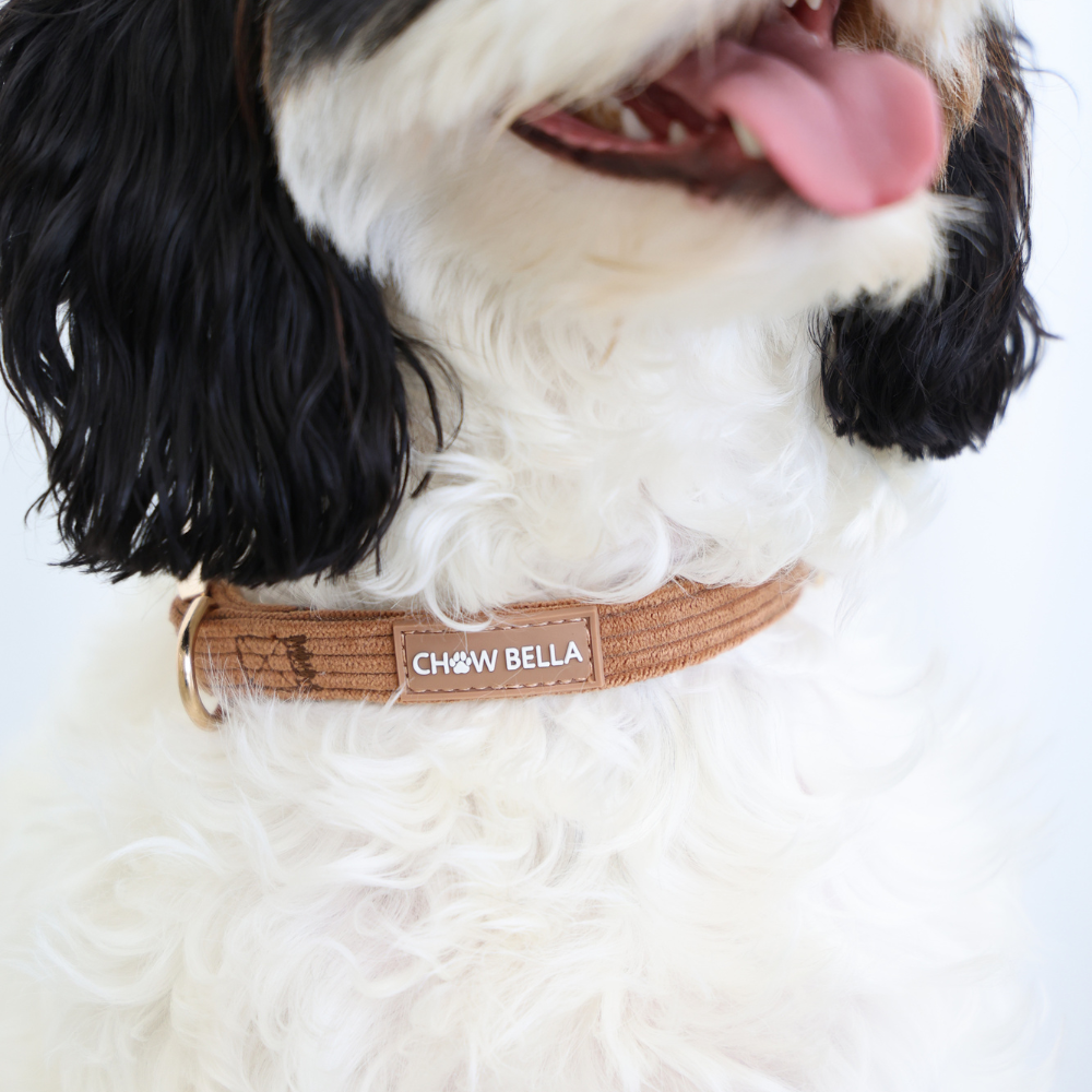 Corduroy Dog Collar Brown Tan