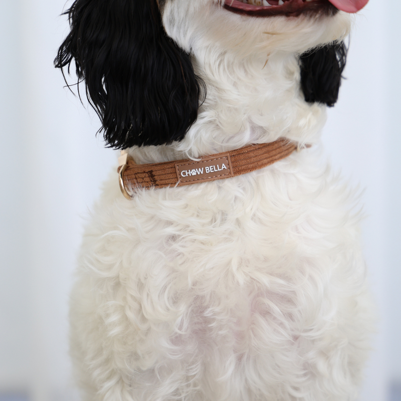 Corduroy Dog Collar Brown Tan