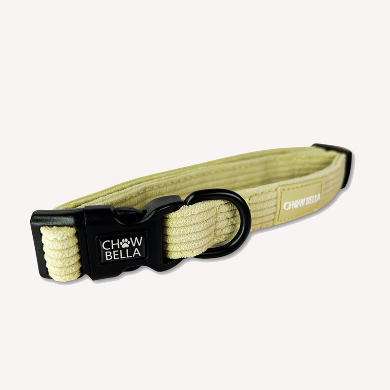 Corduroy Dog Collar Green Sage