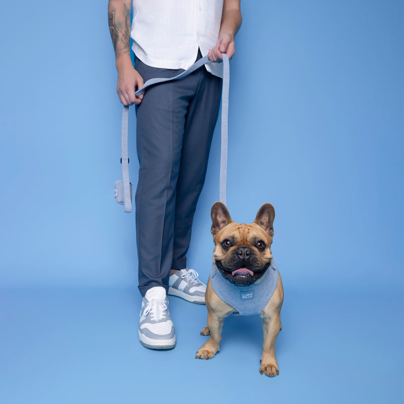Corduroy Dog Harness Blue