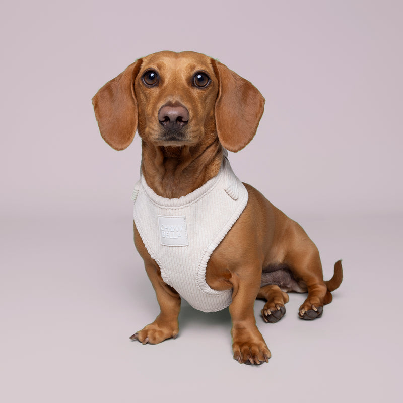 Corduroy Dog Harness Cream