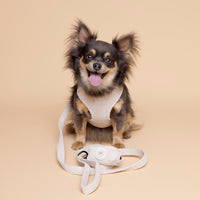 Corduroy Dog Harness Cream