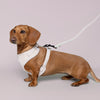 Corduroy Dog Harness Cream
