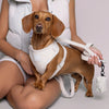 Corduroy Dog Harness Cream