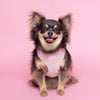 Corduroy Dog Harness Pink