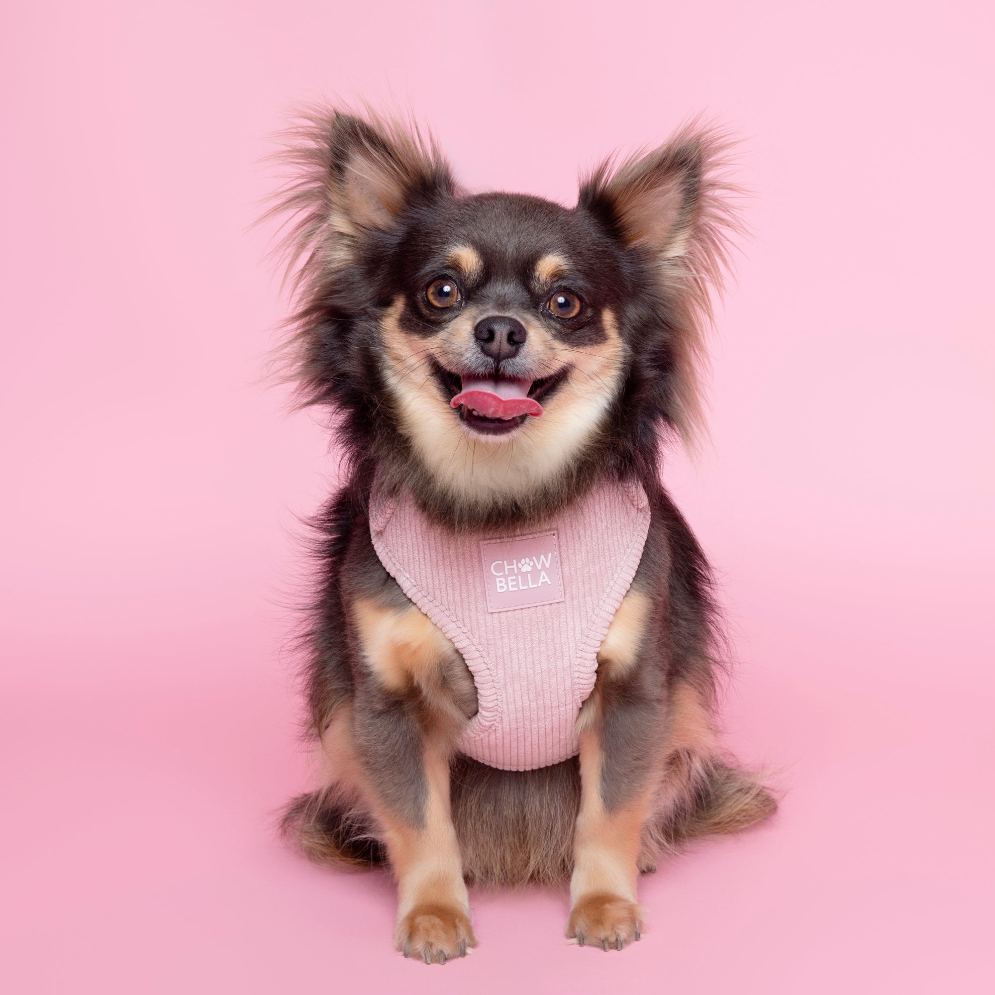 Corduroy Dog Harness Pink