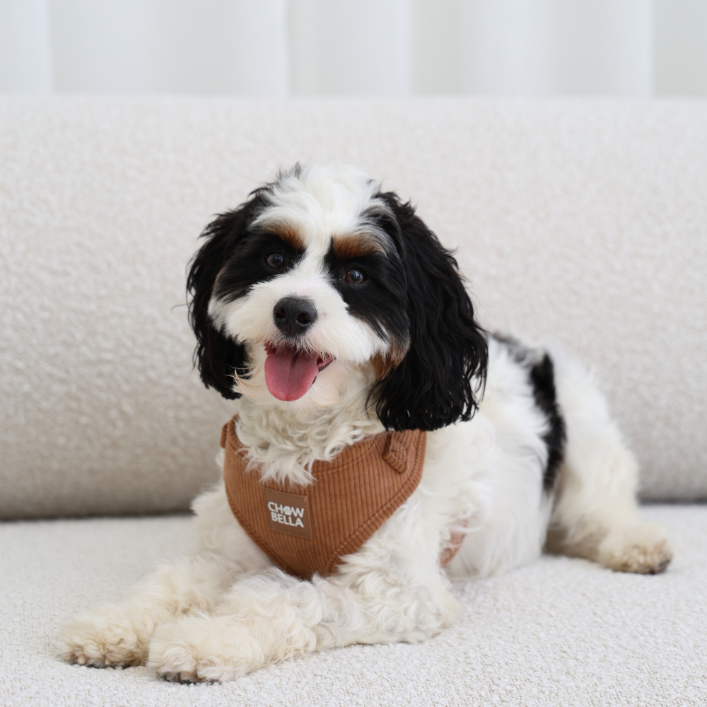 Corduroy Dog Harness Tan Brown