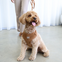 Corduroy Dog Harness Tan Brown