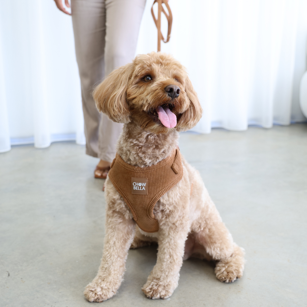 Corduroy Dog Harness Tan Brown