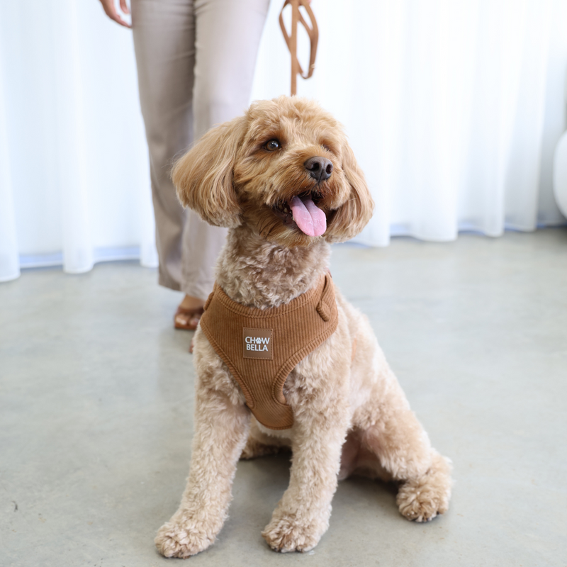 Corduroy Dog Harness Tan Brown