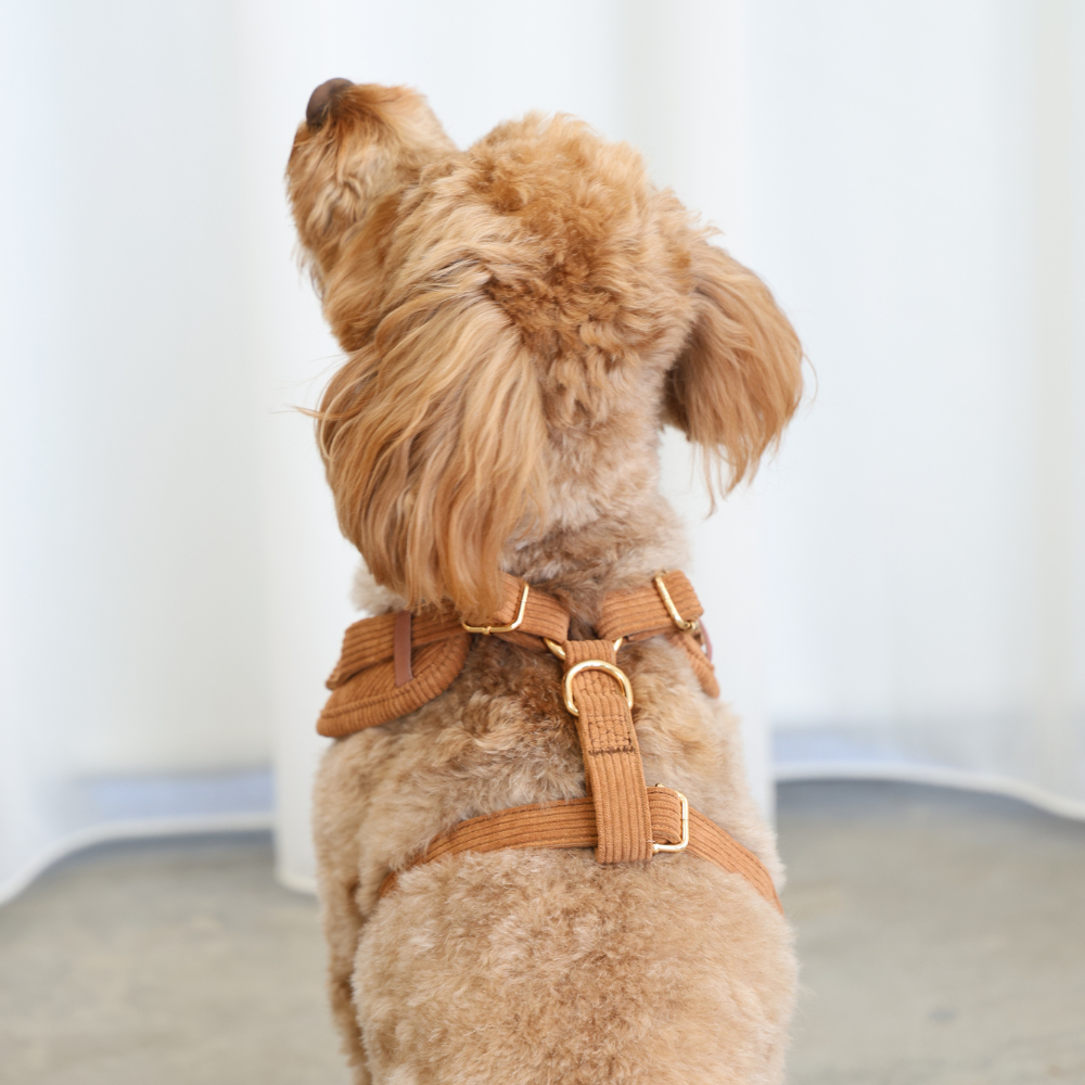 Corduroy Dog Harness Tan Brown