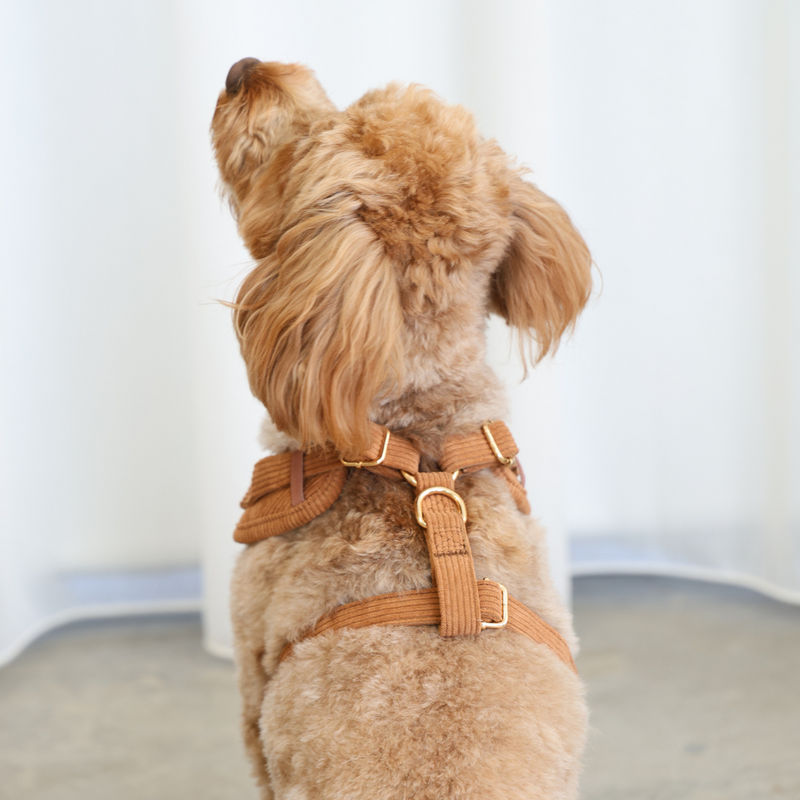 Corduroy Dog Harness Tan Brown