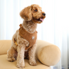 Corduroy Dog Harness Tan Brown