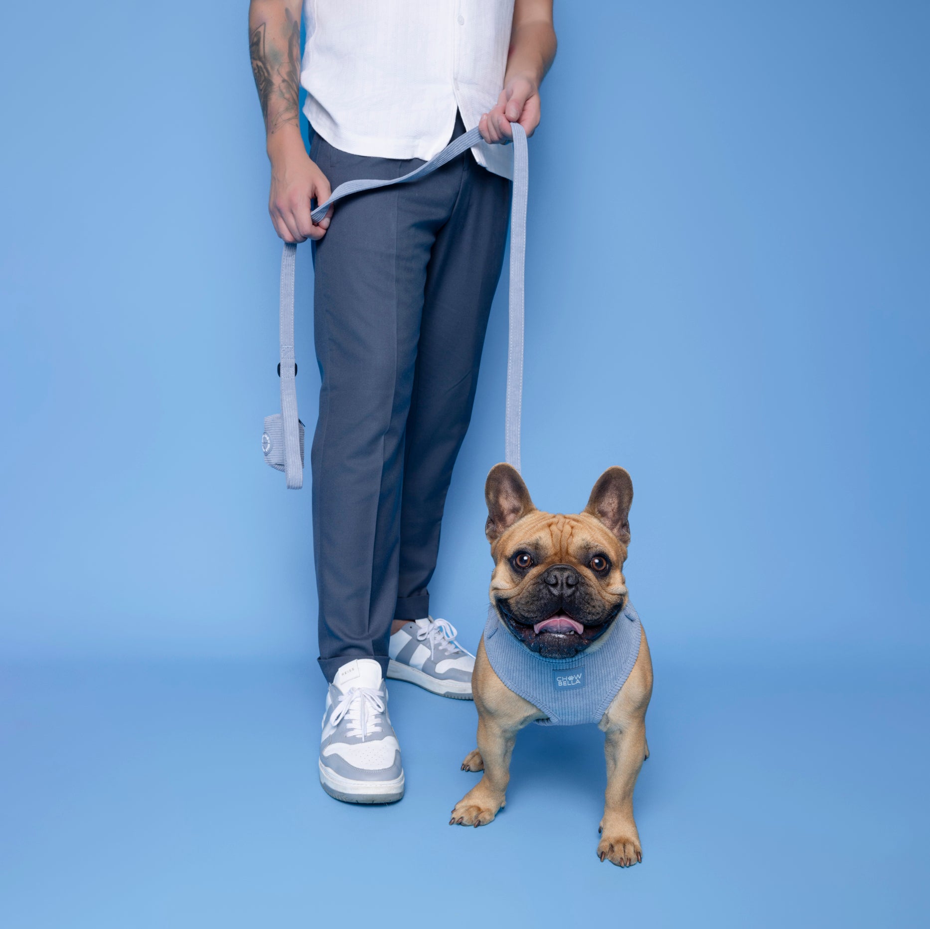 Corduroy Dog Leash Blue