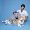 Corduroy Dog Leash Blue