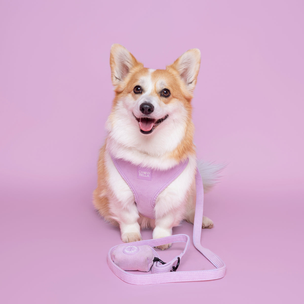Corduroy Dog Leash Purple Lavender