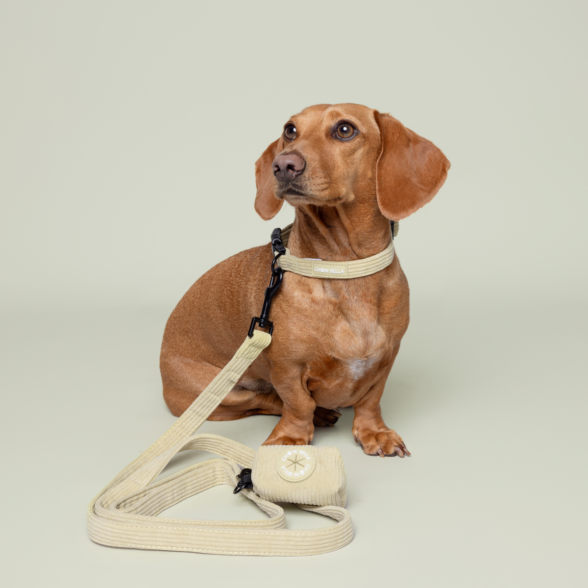 Corduroy Dog Leash Sage Green