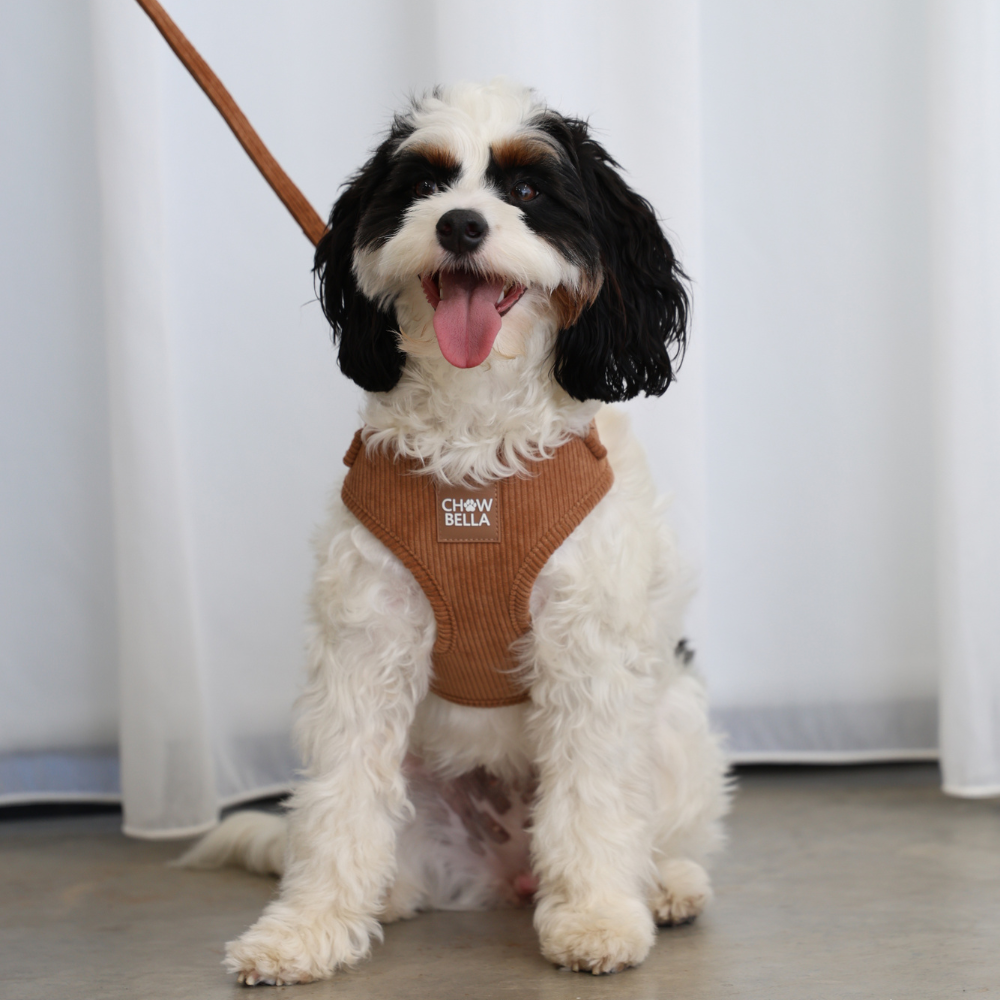 Corduroy Dog Leash Tan Brown