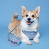 Corduroy Dog Poo Waste Bag Blue