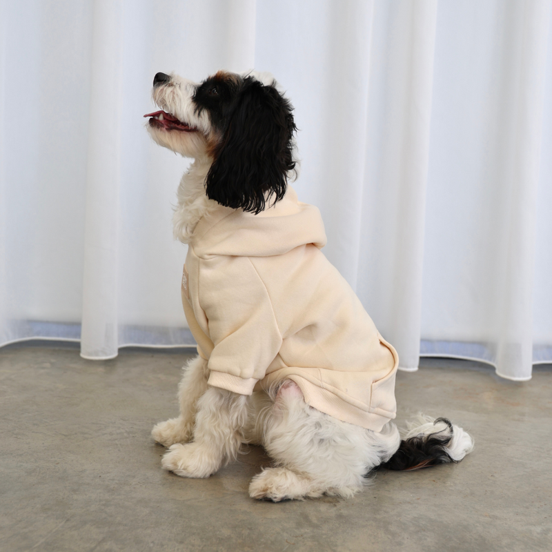 Dog Hoodie Jumper Cream