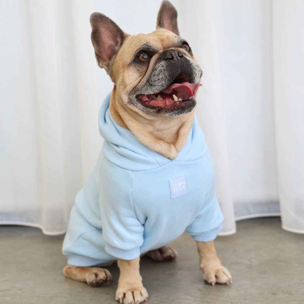 Dog Hoodie Jumper Blue