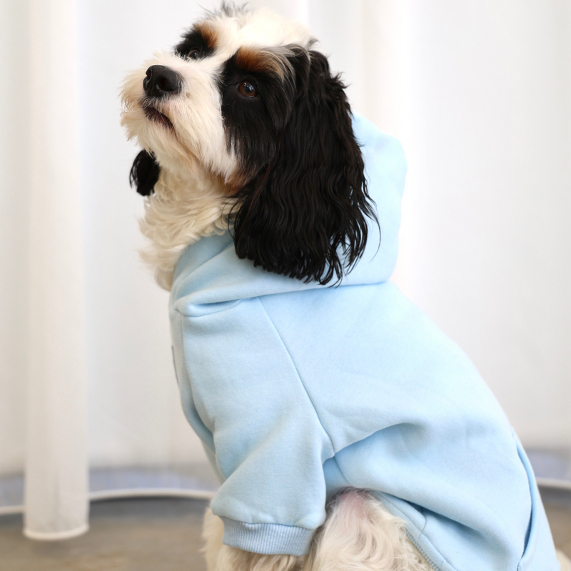 Dog Hoodie Jumper Blue