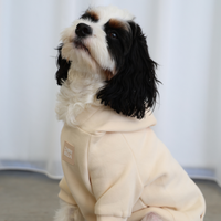 Dog Hoodie Jumper Cream