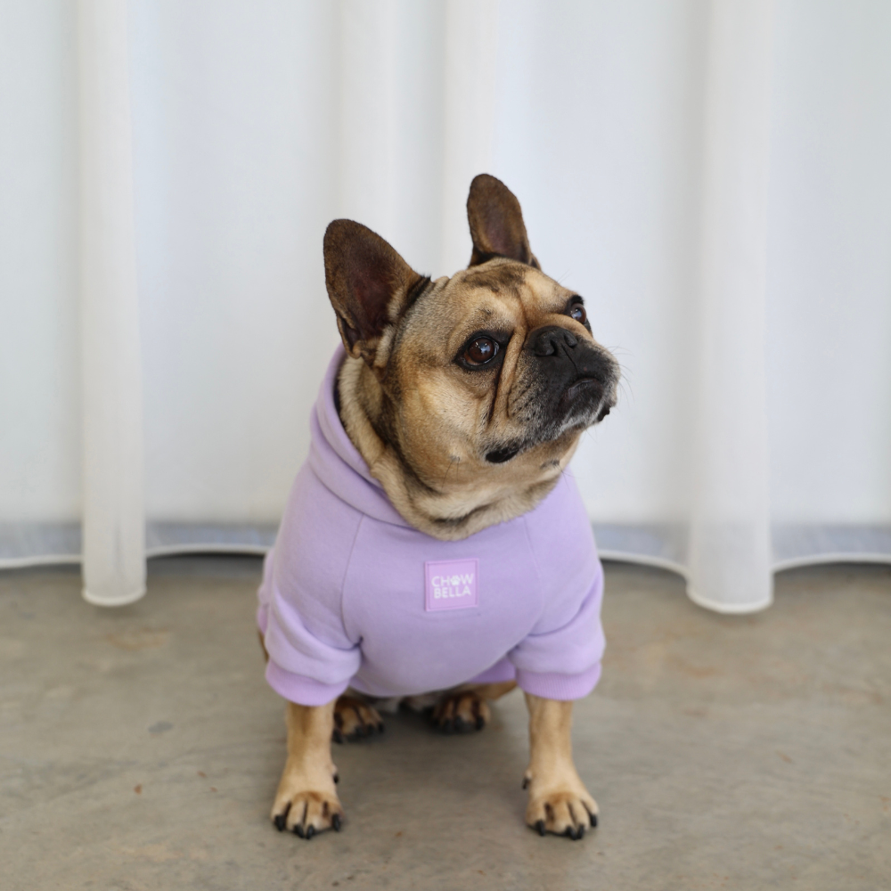 Dog Hoodie Purple Dog Jumper Dog Hoodie Pet Fleece Sweater With