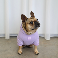 Dog Hoodie Jumper Lavender