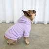 Dog Hoodie Jumper Purple