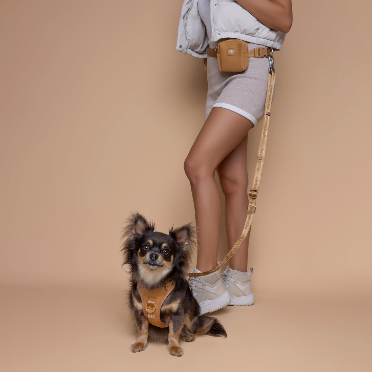 Hands Free Waist Dog Leash Tan Brown