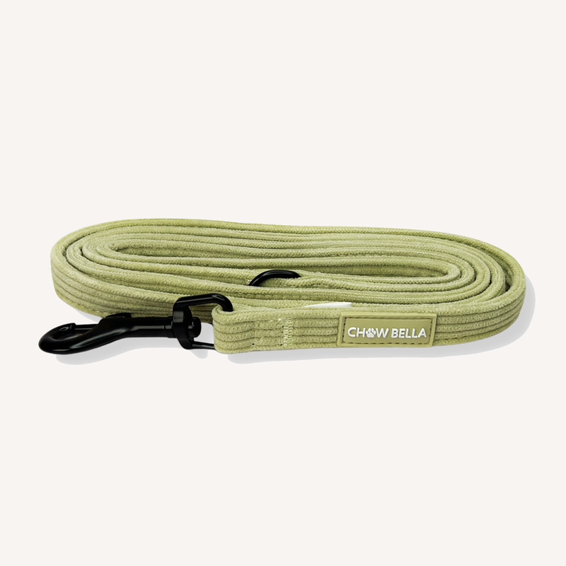 Corduroy Leash - Sage