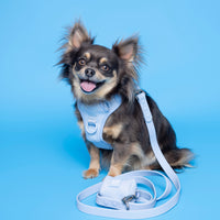 No Pull Dog Adjustable Harness Blue