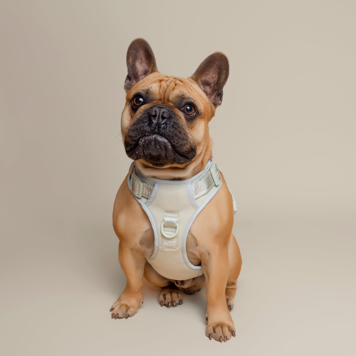 No Pull Dog Adjustable Harness Green Mint