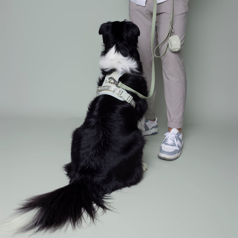 No Pull Dog Adjustable Harness Green Mint